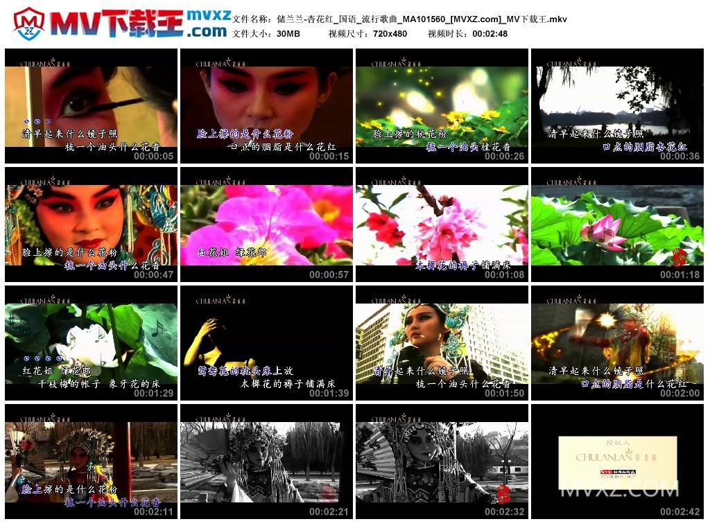 储兰兰-杏花红_国语_流行歌曲_MA101560